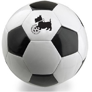 Official 8.5" Promotional Soccer Ball (Synthetic Leather)