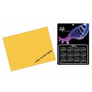 PromoClear Stock DNA X Ray Calendar