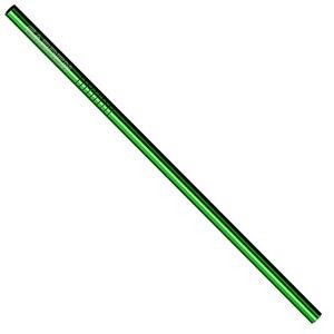 Straight Stainless Steel Straws: Set of 4 in Green