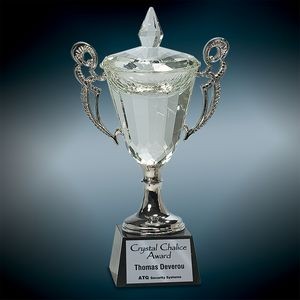 Large Crystal Cup Award w/Silver Handles