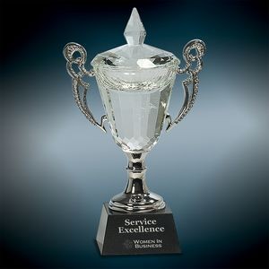Medium Crystal Cup Award w/Silver Handles