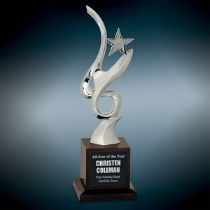 Silver Metal Star & Crystal Award