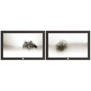 "In the Mist I and II" Framed Art Print