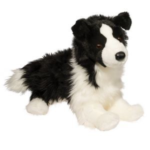 Chase Border Collie