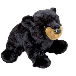 Boulder Black Bear