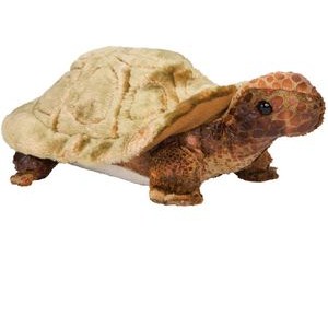 Speedy Tortoise