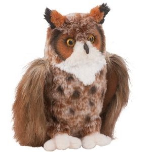 Einstein Great Horned Owl