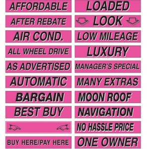 15" Fluorescent Pink Windshield Slogan Decals (Set of 12)