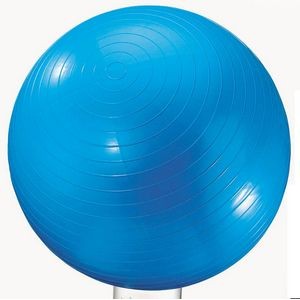 Exercise Ball (24