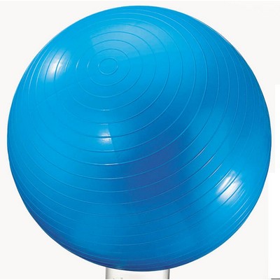 Exercise Ball (24" Diameter)