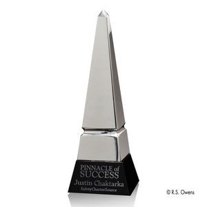 Apex Award - Silver/Black 11½"
