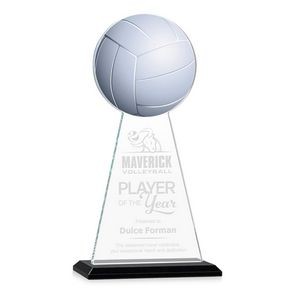 VividPrint/Etch Award - Edenwood Volleyball/Black 11"