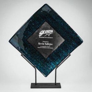 Vertex Award - Artglass/Black 22"