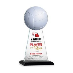 VividPrint™ Award - Edenwood Volleyball/Black 9"