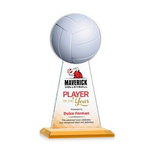 VividPrint™ Award - Edenwood Volleyball/Amber 9"