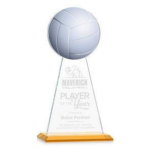 VividPrint/Etch Award - Edenwood Volleyball/Amber 11"