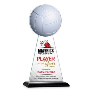 VividPrint™ Award - Edenwood Volleyball/Black 11"