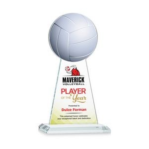VividPrint™ Award - Edenwood Volleyball 9"