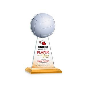 VividPrint™ Award - Edenwood Volleyball/Amber 7"