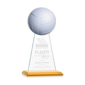 VividPrint/Etch Award - Edenwood Volleyball/Amber 9"