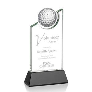 Brixton Golf Award - Optical/Black 9"