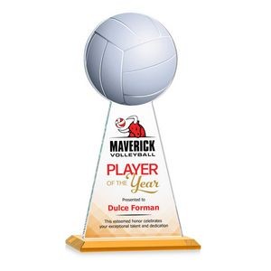 VividPrint™ Award - Edenwood Volleyball/Amber 11"