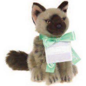 Gift Card Tag For Stuffed Animals