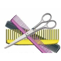 Beautician Combo Executive Magnet w/ Full Magnetic Back (4 Square Inch)