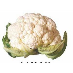 Cauliflower Executive Magnet w/ Full Magnetic Back (2 Square Inch)
