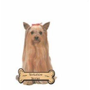 Yorkshire Terrier Executive Magnet w/ Full Magnetic Back (2 Square Inch)