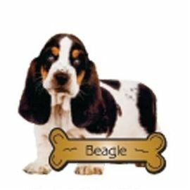 Beagle Dog Executive Magnet w/ Full Magnetic Back (2 Square Inch)