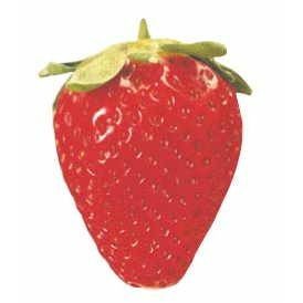 Strawberry Executive Magnet w/ Full Magnetic Back (2 Square Inch)