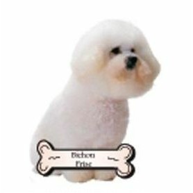 Bichon Frise Dog Executive Magnet w/ Full Magnetic Back (2 Square Inch)