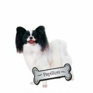 Papillon Dog Executive Magnet w/ Full Magnetic Back (2 Square Inch)