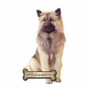 Eurasier Dog Executive Magnet w/ Full Magnetic Back (2 Square Inch)