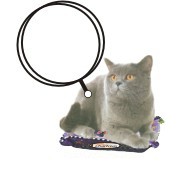 Chartreux Cat Promotional Keychain w/ Black Back (4 Square Inch)