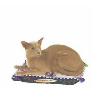 Oriental Shorthair Cat Executive Magnet w/ Full Magnetic Back (2 Square Inch)