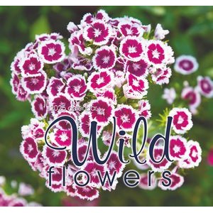 Wild Flowers 2025 Deluxe Executive Calendar