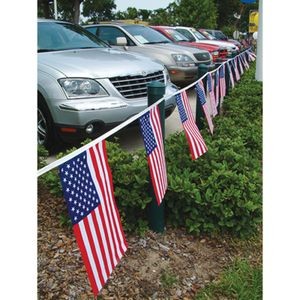 American Flag Lines - Long Term 50' (20 Flags)