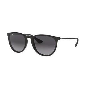 Ray-Ban® Black Erika Sunglasses