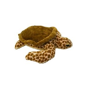 Custom Plush Brown Turtle
