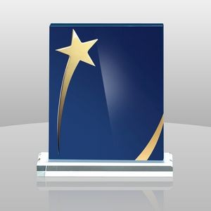 Shining Star Award (9