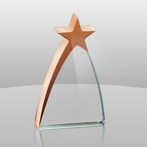 New Star Award (7"x4"x1")