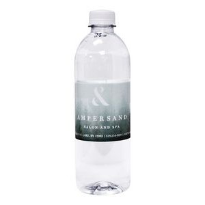 16.9 Oz. Custom Labeled Bullet Bottle w/Spring Water