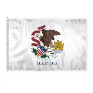 Illinois Flags 8x12 foot