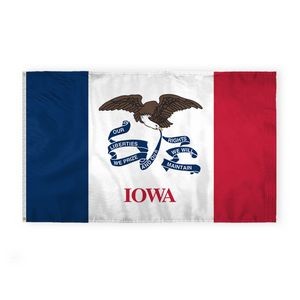 Iowa Flags 6x10 foot