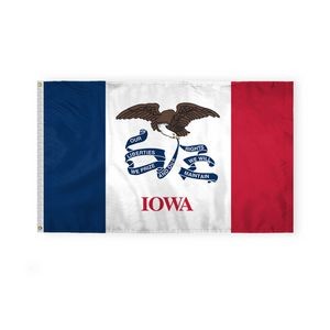 Iowa Flags 3x5 foot