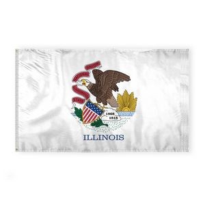 Illinois Flags 6x10 foot