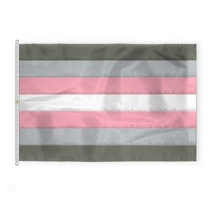 10 ' x 15 ' 1ply Nylon Demi girl Pride Deluxe Flag