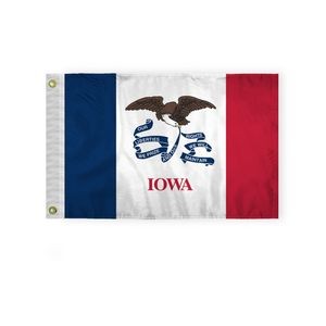 Iowa Flags 12x18 inch